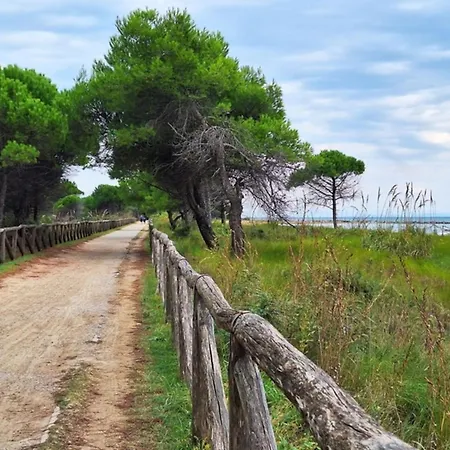 Lejlighed Flat With Wonderful Sea View-beahost *